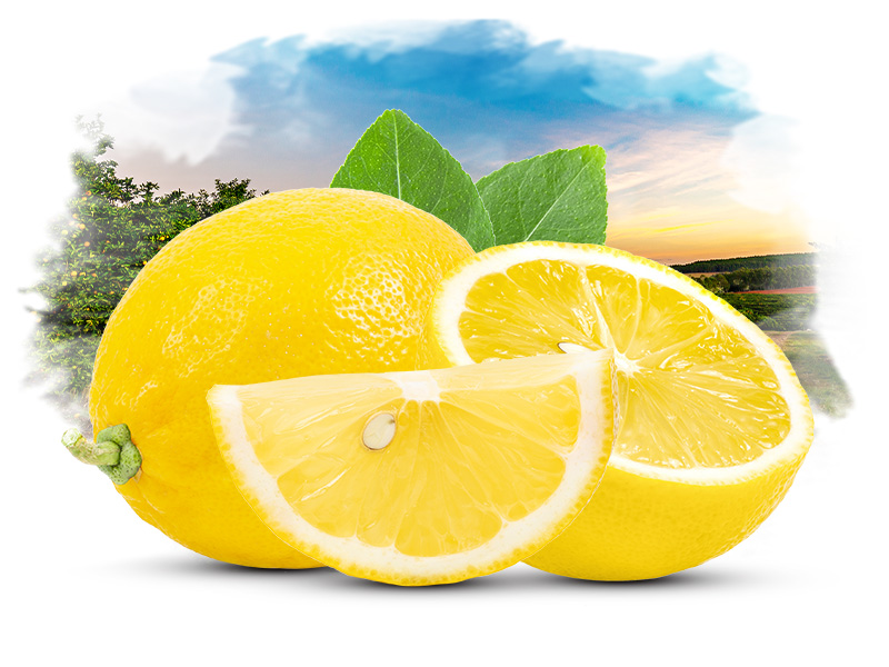 Limon