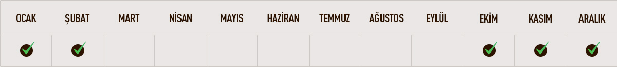 Portakal, Sezon Bilgisi